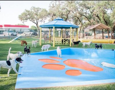 Almacan – Hotel y Residencia Canina en Madrid