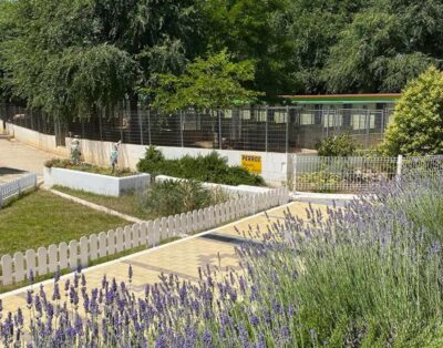 Granja la Luna | Residencia Canina campestre