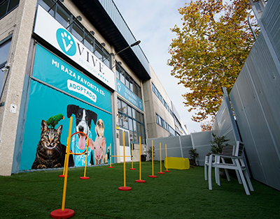 Vive Pet San Sebastián | Guarderia y hotel para perros en Madrid