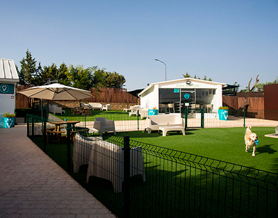VivePetResort | Resort para mascotas en Madrid