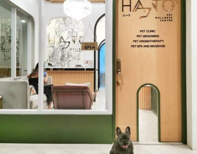 Eli’s Puppy Hotel | Hotel boutique canino | Madrid