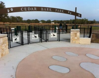 Dog Camp | Hotel Canino en Madrid con Piscinas