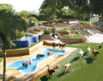 Malilupus | Centro de entrenamiento y Residencia Canina