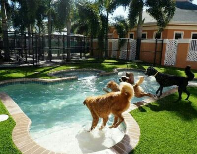 CityDog Madrid – Hotel Canino Familiar