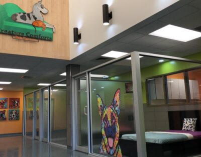 Animal Solución | Guardería Canina con Recogida a Domicilio