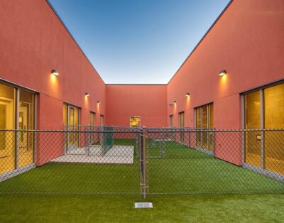 Residencia Canina 3 Patas | Alojamiento para Perros en Madrid