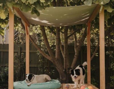 Residencia Canina Los Hueros | Hotel para Perros en Madrid