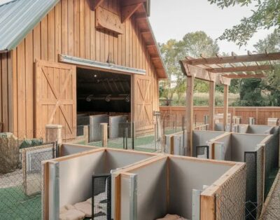 Camada | Hotel y Residencia para Perros y Gatos en Madrid