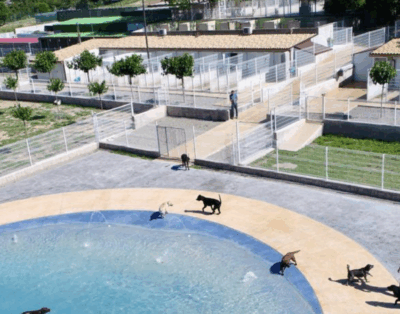 Hotel Caní El Vilà | Residencia Canina y Felina
