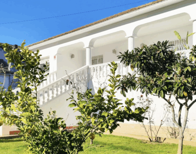 Murph & Co | Residencia canina en Barcelona