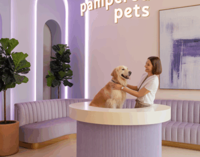 For Dogs One | Alojamiento para mascotas