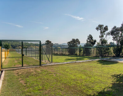 Palau Lord Can | Residencia Canina y Felina