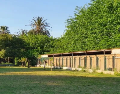 Rolke | Residencia Canina