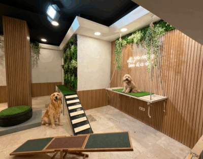 The Place Pet Hotel